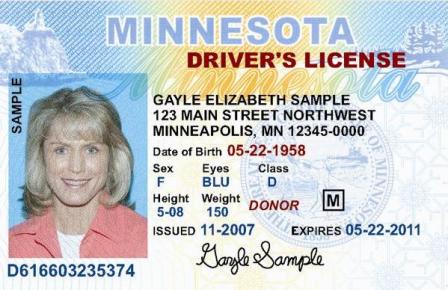 Fact Sheet: Driver's Licenses for All - Immigrant Law Center of Minnesota